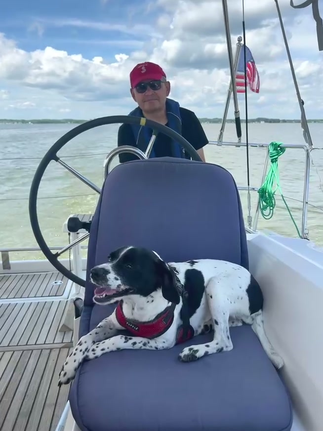 Skipper and dog on clear water